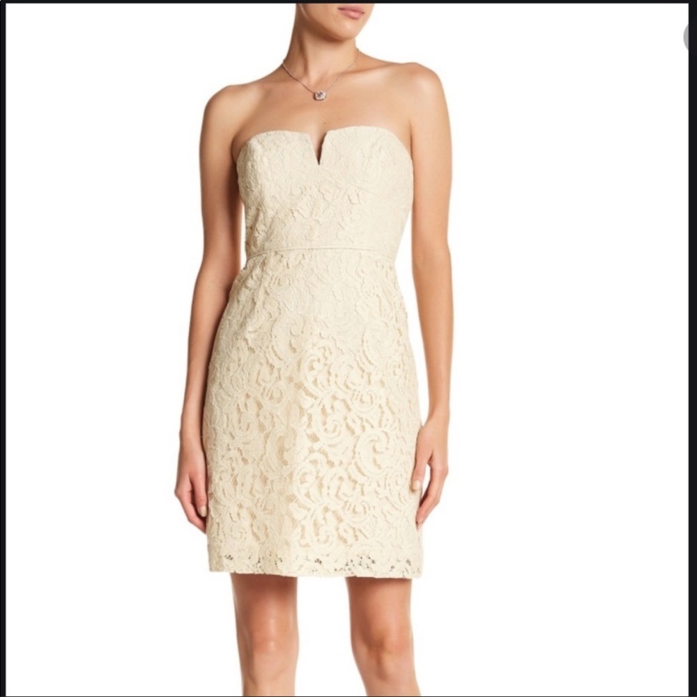 J. Crew Cathleen Leavers Lace Dress in Champagne
